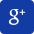 icon google